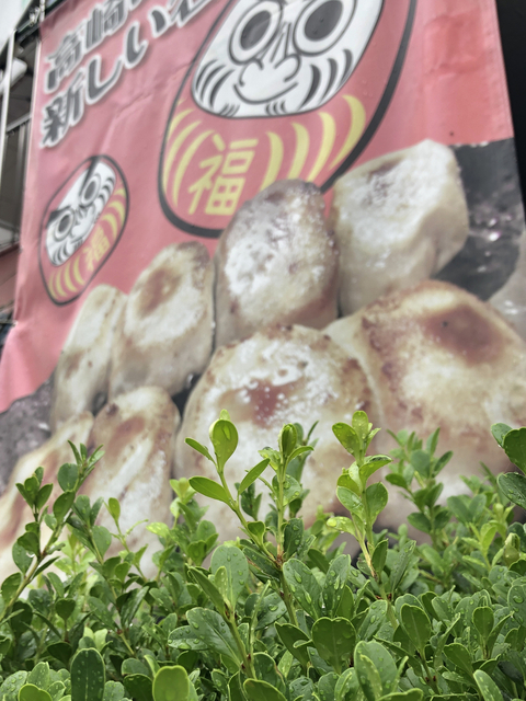 しとしと ザーザー 音 で だるま餃子 群馬高崎ご当地グルメ だるま餃子の通信販売 開運食堂 だるま餃子 ｃｏｍ